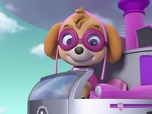 Paw Patrol, la Pat'Patrouille Paw Patrol, la Pat'Patrouille