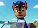 Paw Patrol, la Pat'Patrouille