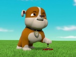 Paw Patrol, la Pat'Patrouille