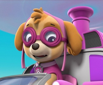Paw Patrol, la Pat'Patrouille - Le Hippo Rodéo de Danny