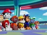 Paw Patrol, la Pat'Patrouille