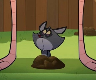 Taffy - Drôles d'oiseaux