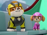 Paw Patrol, la Pat'Patrouille