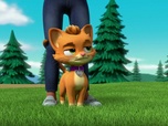 Paw Patrol, la Pat'Patrouille