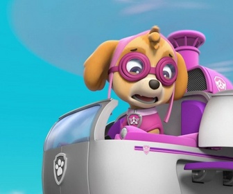 Paw Patrol, la Pat'Patrouille - Le feu d'artifice