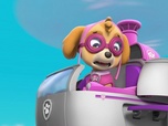 Paw Patrol, la Pat'Patrouille
