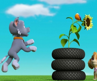 Paw Patrol, la Pat'Patrouille - Le miel a disparu !