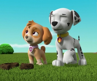 Paw Patrol, la Pat'Patrouille - Le cygne gonflable