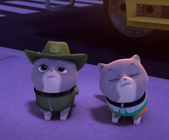 Paw Patrol, la Pat'Patrouille - Sauvetage Extrême : Les petits chats du roi ont disparu