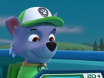 Paw Patrol, la Pat'Patrouille