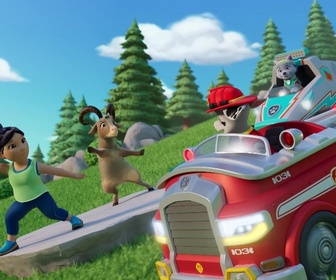 Paw Patrol, la Pat'Patrouille - Cours de yoga à la montagne
