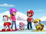 Paw Patrol, la Pat'Patrouille