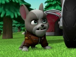 Paw Patrol, la Pat'Patrouille
