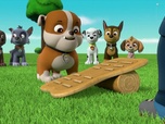 Paw Patrol, la Pat'Patrouille