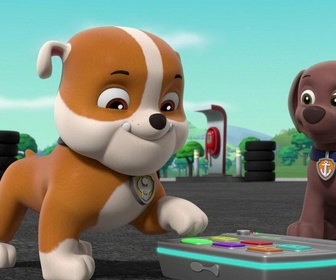 Paw Patrol, la Pat'Patrouille - Mission camion : La Grande Vallée en danger