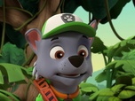 Paw Patrol, la Pat'Patrouille Paw Patrol, la Pat'Patrouille