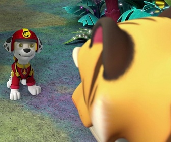 Paw Patrol, la Pat'Patrouille - Mission Jungle : Le tigre à dents de sabre