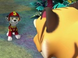 Paw Patrol, la Pat'Patrouille Paw Patrol, la Pat'Patrouille