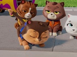 Paw Patrol, la Pat'Patrouille
