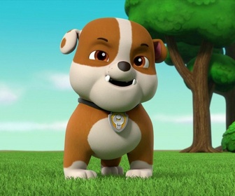 Paw Patrol, la Pat'Patrouille - Sauvetage Extrême : Le bric-à-brac-mobile
