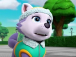 Paw Patrol, la Pat'Patrouille