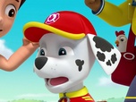Paw Patrol, la Pat'Patrouille