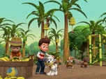 Paw Patrol, la Pat'Patrouille