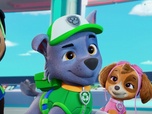 Paw Patrol, la Pat'Patrouille