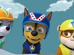Paw Patrol, la Pat'Patrouille