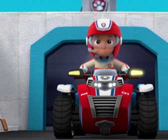 Paw Patrol, la Pat'Patrouille - à la poursuite des tortues