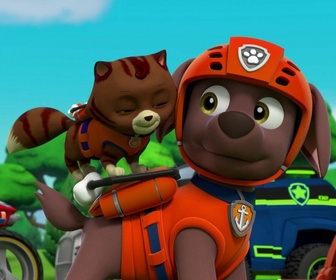 Paw Patrol, la Pat'Patrouille - L'étang aux canards