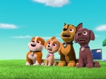 Paw Patrol, la Pat'Patrouille