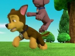 Paw Patrol, la Pat'Patrouille