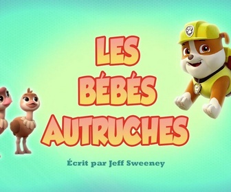 Paw Patrol, la Pat'Patrouille - Les bébés autruches