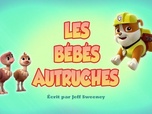 Paw Patrol, la Pat'Patrouille