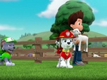 Paw Patrol, la Pat'Patrouille