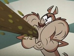Taffy
