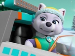 Paw Patrol, la Pat'Patrouille