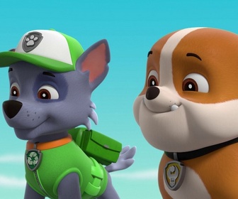 Paw Patrol, la Pat'Patrouille - Un chaton dans la Pat'Patrouille