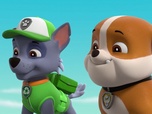 Paw Patrol, la Pat'Patrouille