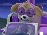 Paw Patrol, la Pat'Patrouille Paw Patrol, la Pat'Patrouille