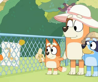 Bluey - 14/10/2025