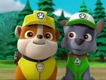 Paw Patrol, la Pat'Patrouille