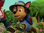 Paw Patrol, la Pat'Patrouille