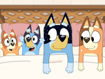 Bluey Bluey