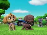 Paw Patrol, la Pat'Patrouille