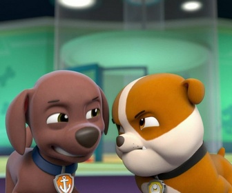 Paw Patrol, la Pat'Patrouille - Que le meilleur gagne !
