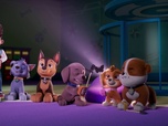 Paw Patrol, la Pat'Patrouille