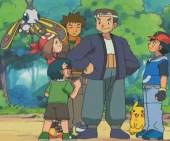 Pokémon - Le pouvoir des fleurs