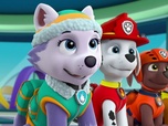 Paw Patrol, la Pat'Patrouille